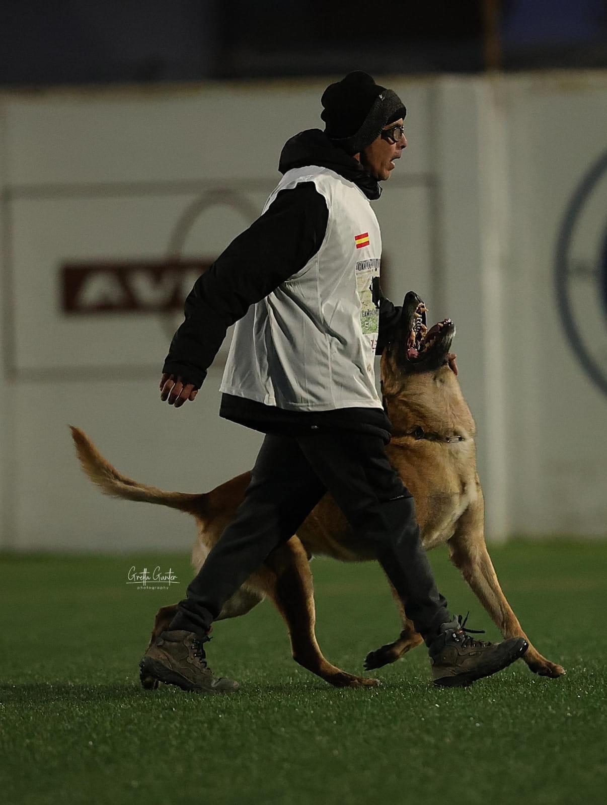 Competición nocturna